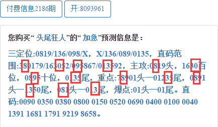 最准一肖一码一一子中特37b,性质解答解释落实_专家版28.26.29